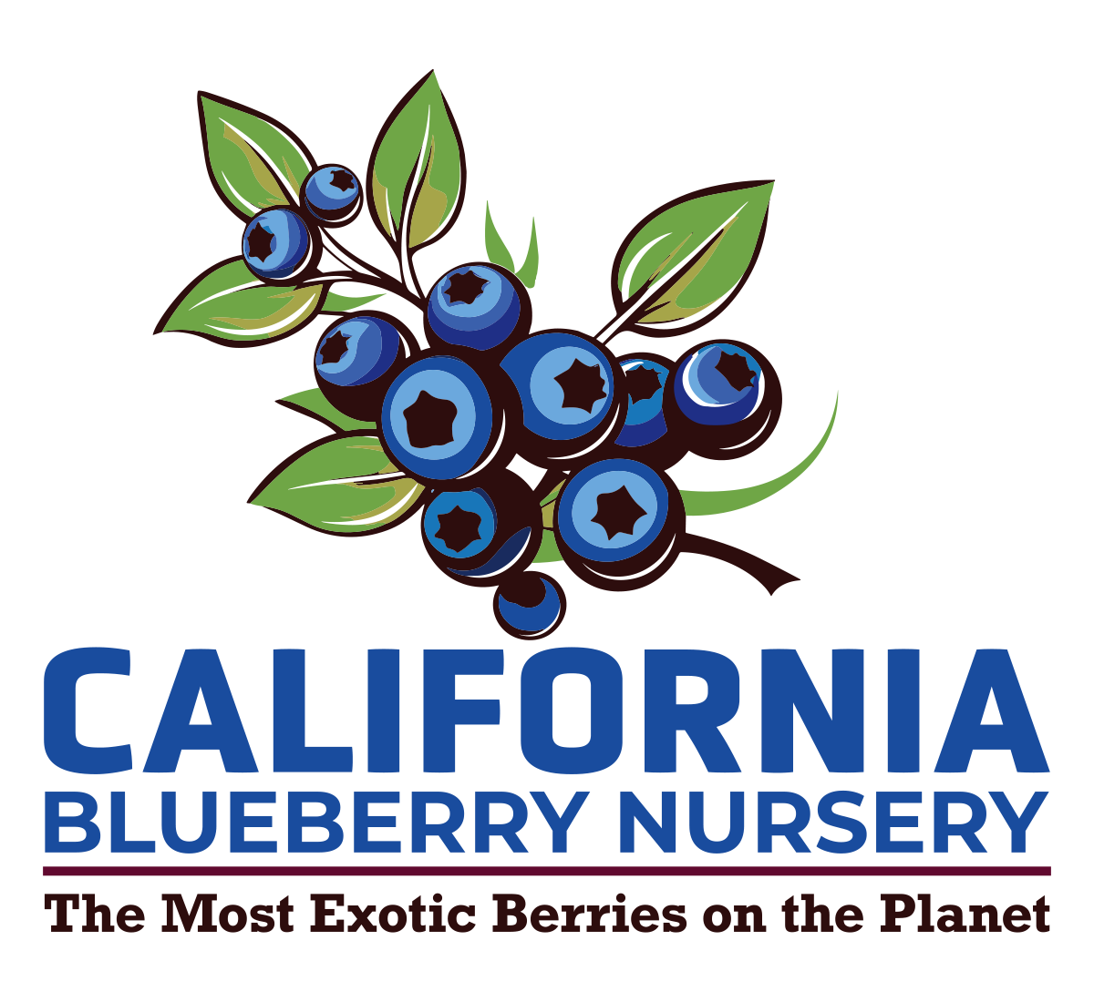 CA Berry Genetics - logo